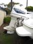 Haines Signature 550BR