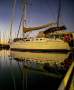 Hunter 38