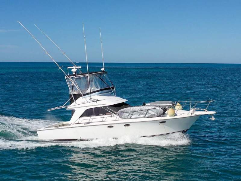 Trojan 40 Flybridge Cruiser