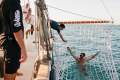 Cruising Schooner Gaff Rigged - Unique Charter Opportunity Rottnest To Broome:Photo Credit: Tourism Australia