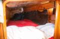 Athol Walter 36 Cruiser/Racer Great History, Excellent Inventory