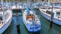 Athol Walter 36 Cruiser/Racer Great History, Excellent Inventory