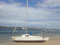 Red Baron Catamaran 19.65 ft / 5.99 m