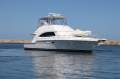 Bertram 510 Flybridge With Only 512 Hours