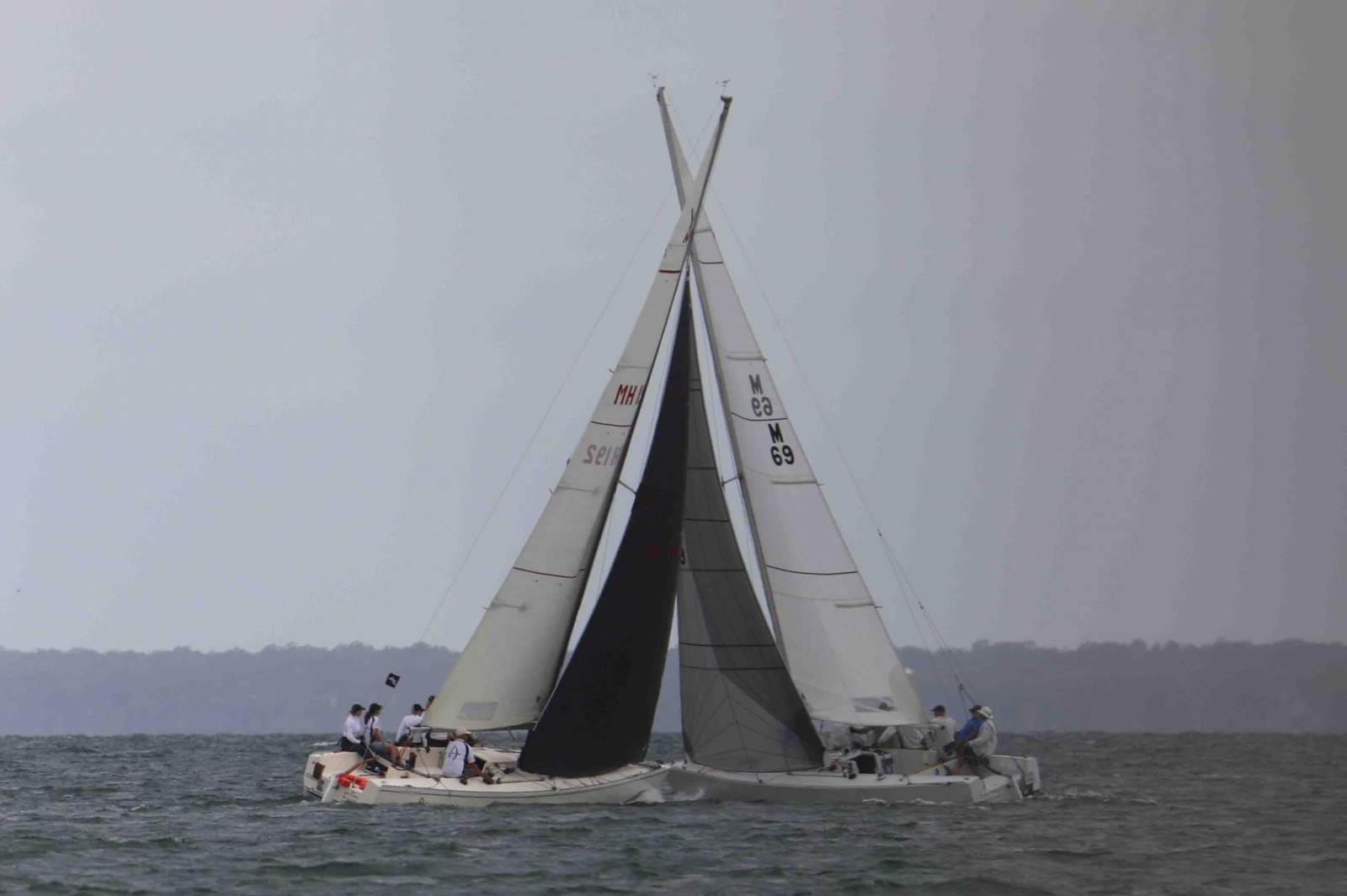 Adams 10