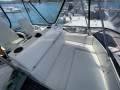 Caribbean 35 Flybridge Cruiser MK 3