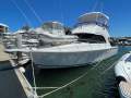Caribbean 35 Flybridge Cruiser MK 3