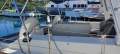 Beneteau Oceanis 41