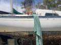 Islander 34 Custom