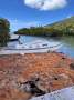 Islander 34 Custom