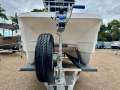 Quantum Cat Mirage 480 CC