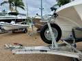 Quantum Cat Mirage 480 CC