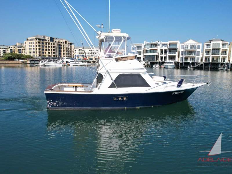 Black Watch 30 Fly bridge
