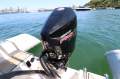 Hedia 750C Hypalon Rib