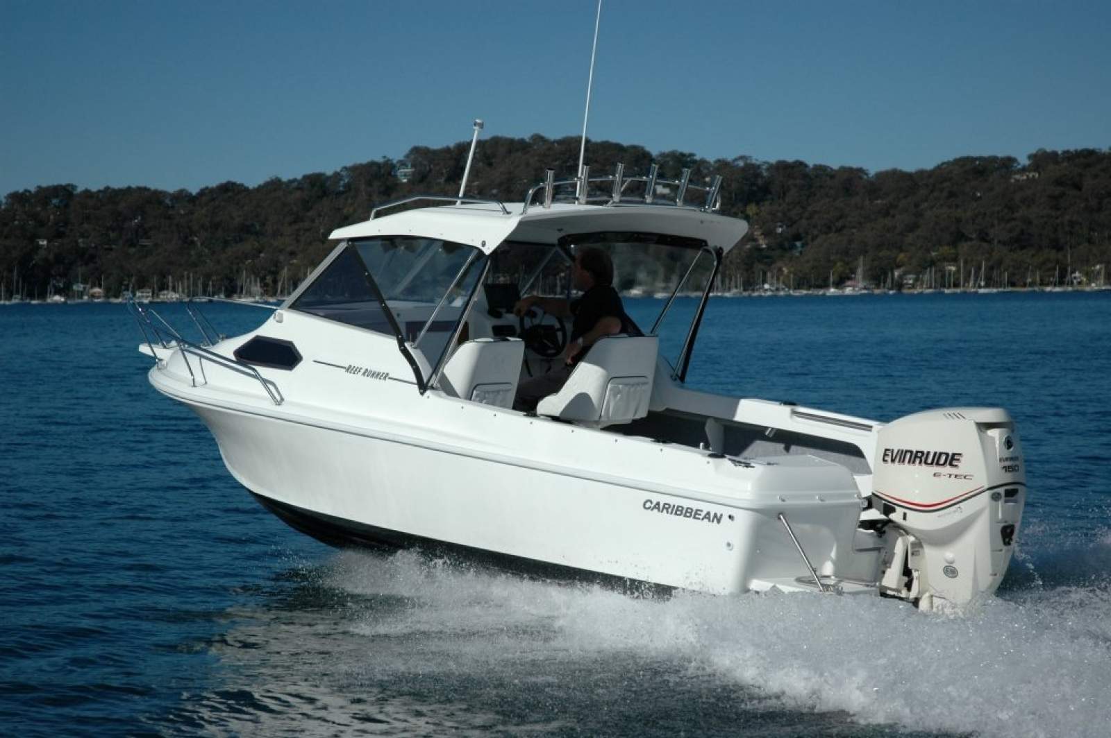 Caribbean Reef Runner