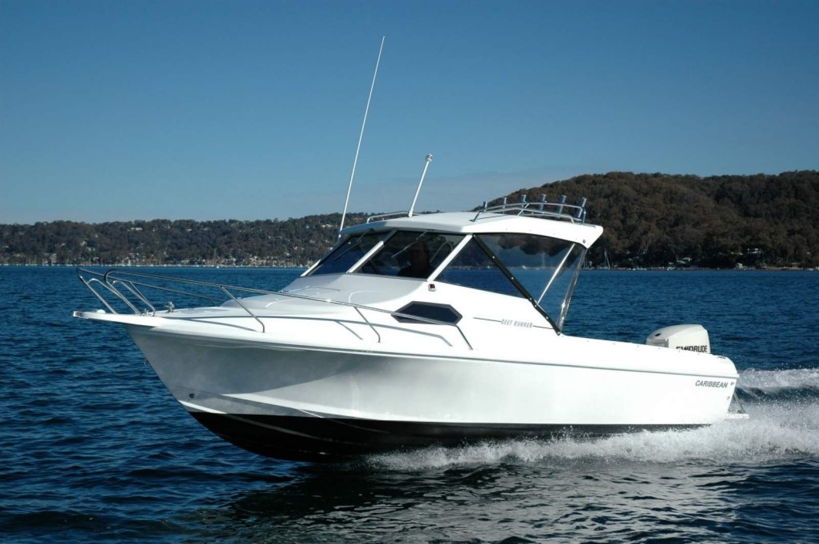 Caribbean Reef Runner
