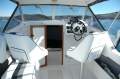 Caribbean Reef Runner