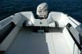 Caribbean Reef Runner