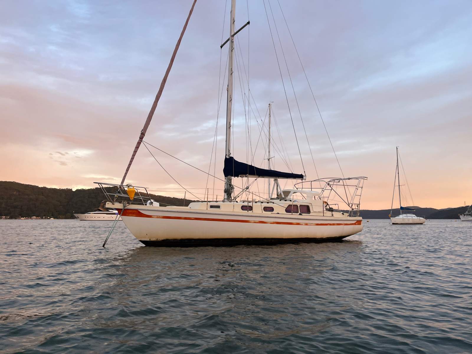 Arends 33