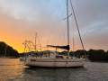 Arends 33