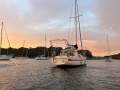Arends 33