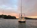 Arends 33