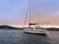Arends 33