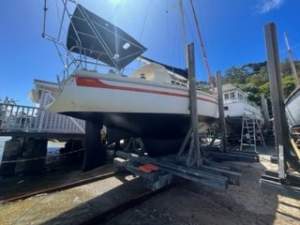 Arends 33