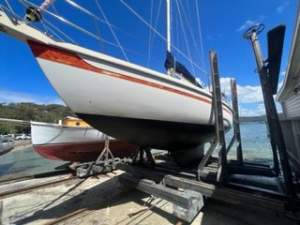 Arends 33