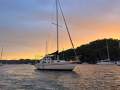Arends 33