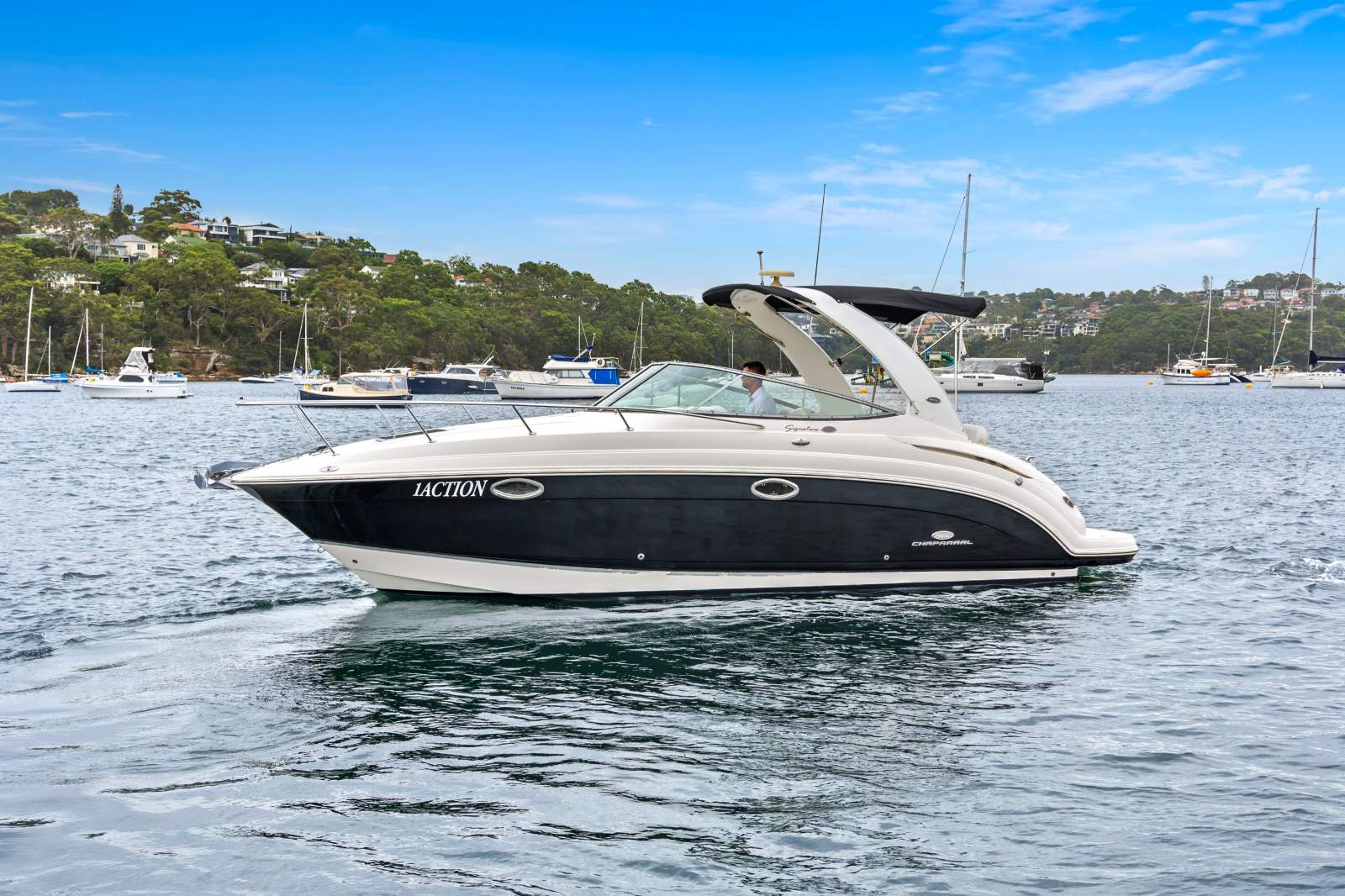 Chaparral 276 Signature