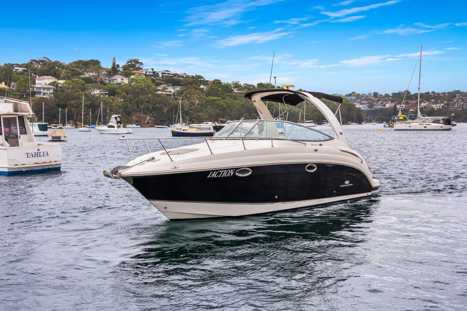 Chaparral 276 Signature