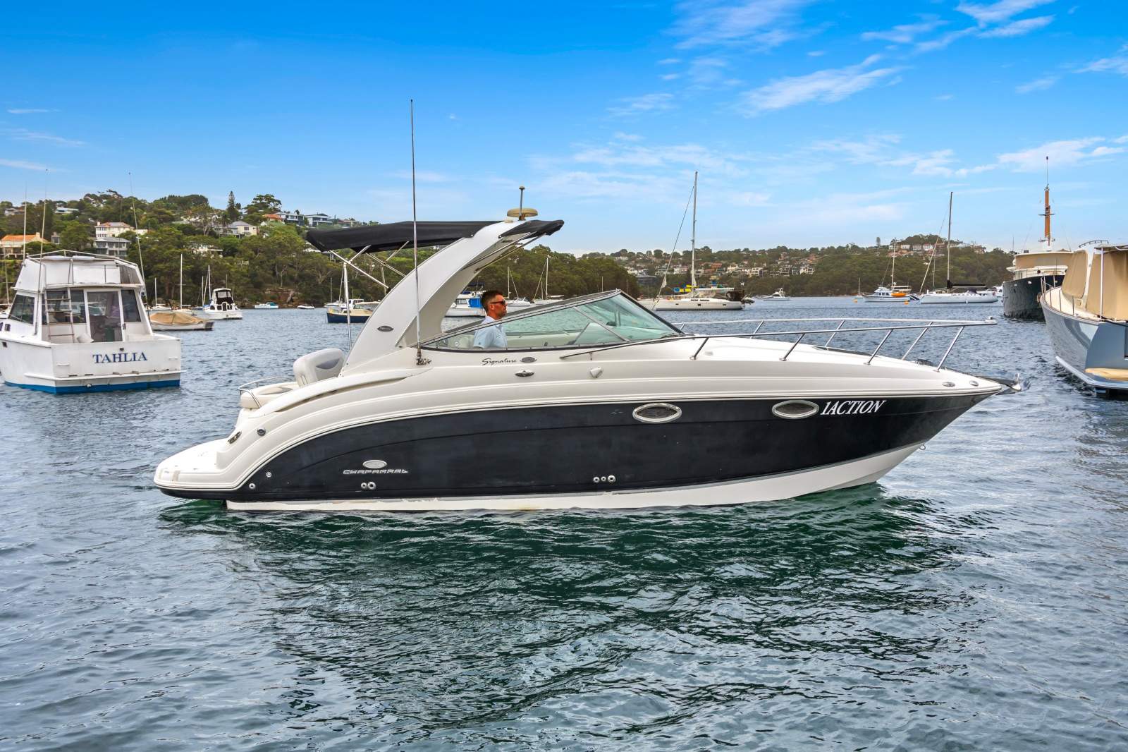 Chaparral 276 Signature