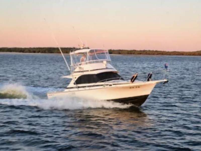 Bertram 35 Flybridge