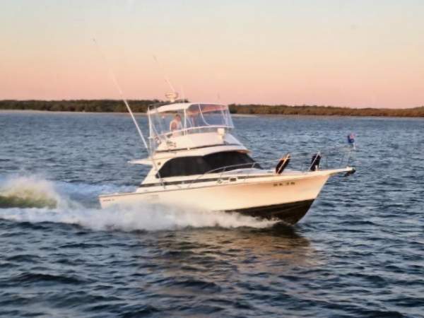 Bertram 35 Flybridge
