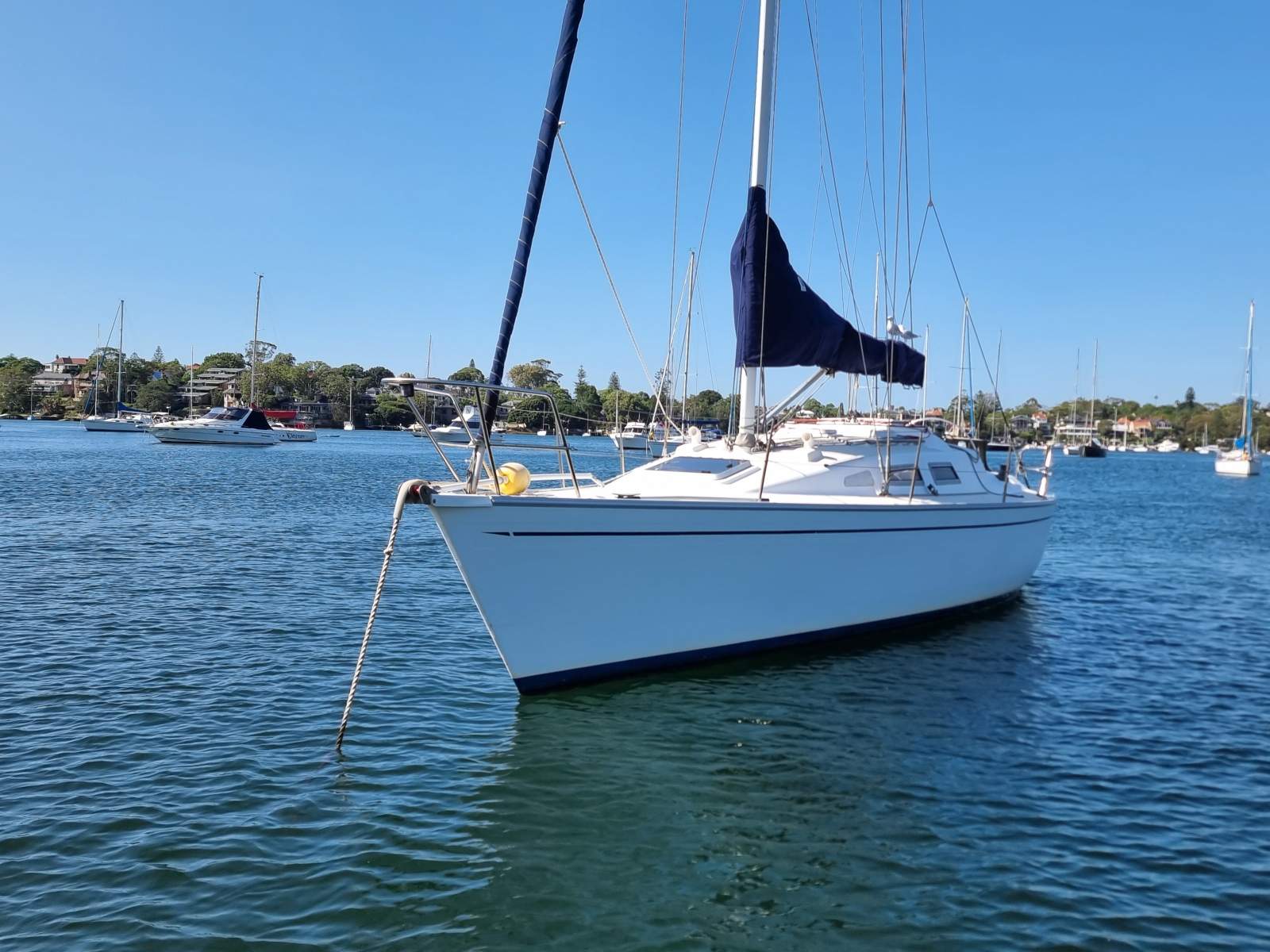 Farr Ims 38