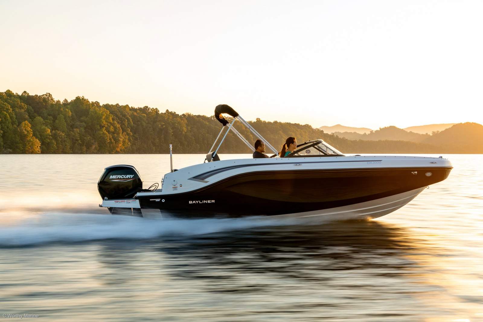Bayliner DX2000
