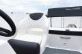 New Bayliner DX2000