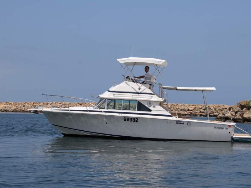 Bertram 28 Flybridge with only 545 hours on Mercruiser 5.0Ltr V8's