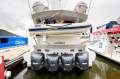 Woody 11.9 Tourist Boat (1C Survey with Liquor License)
