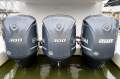 Woody 11.9 Tourist Boat (1C Survey with Liquor License)