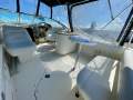 Sea Ray 275 Amberjack