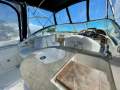 Sea Ray 275 Amberjack