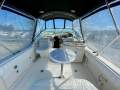 Sea Ray 275 Amberjack