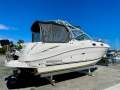 Sea Ray 275 Amberjack