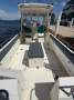 Leisurecat 8000 Sportsfisher