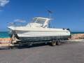 Leisurecat 8000 Sportsfisher