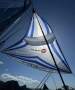 Outremer 45