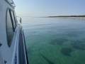 Leisurecat 9000 Profisher Flybridge