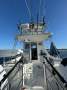 Leisurecat 9000 Profisher Flybridge